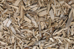 biomass boilers Cwmparc